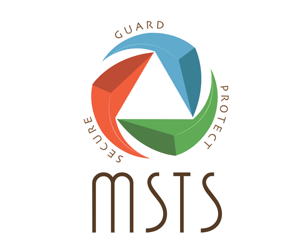 Micro Solution Technology Pvt Ltd Logo